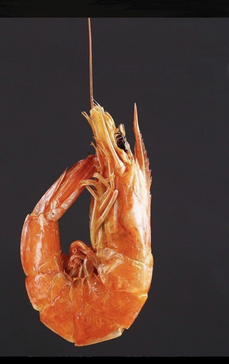 淡干烤虾即食烤虾干对虾干淡干无盐干度很好