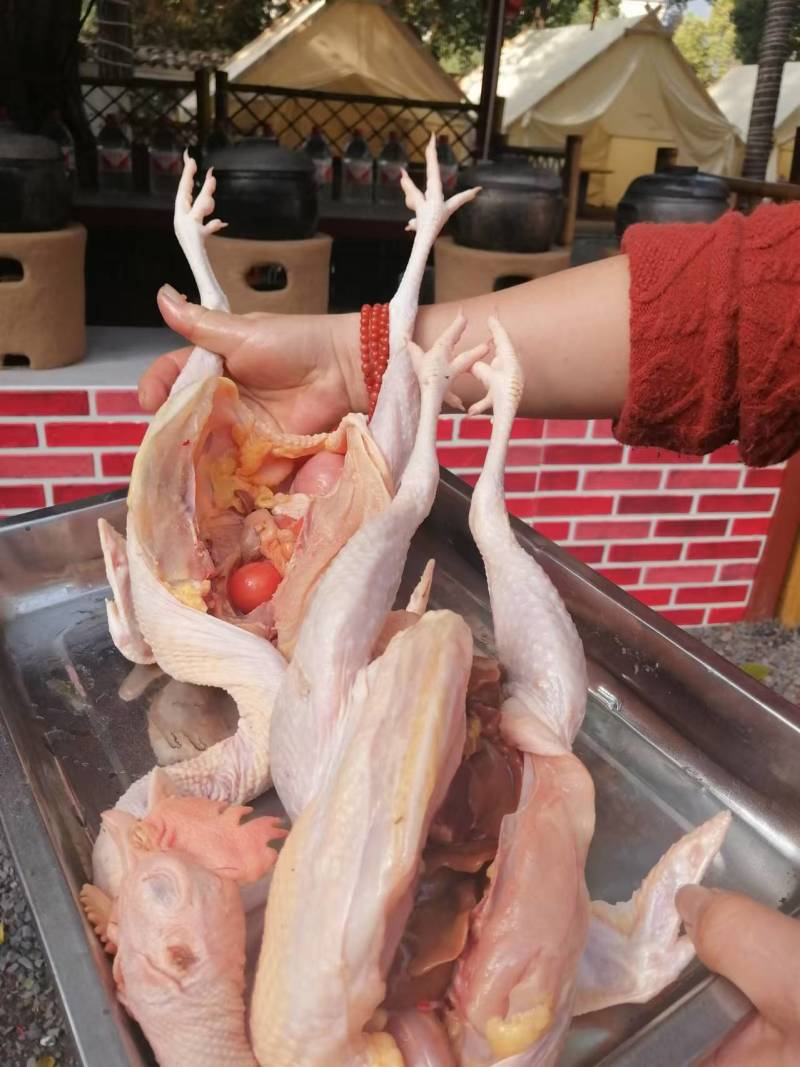 来自中国竹乡浙江安吉的竹林鸡