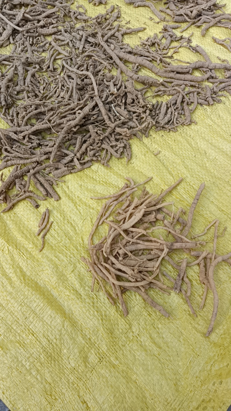 出售远志筒，诚信经营，以质量求发展。欢迎新老客户电联15