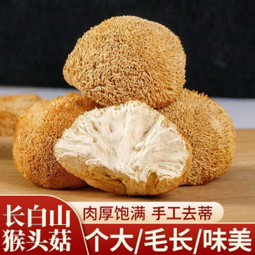 【当季新货】猴头菇干货农家猴头菇菌菇煲汤大货批发