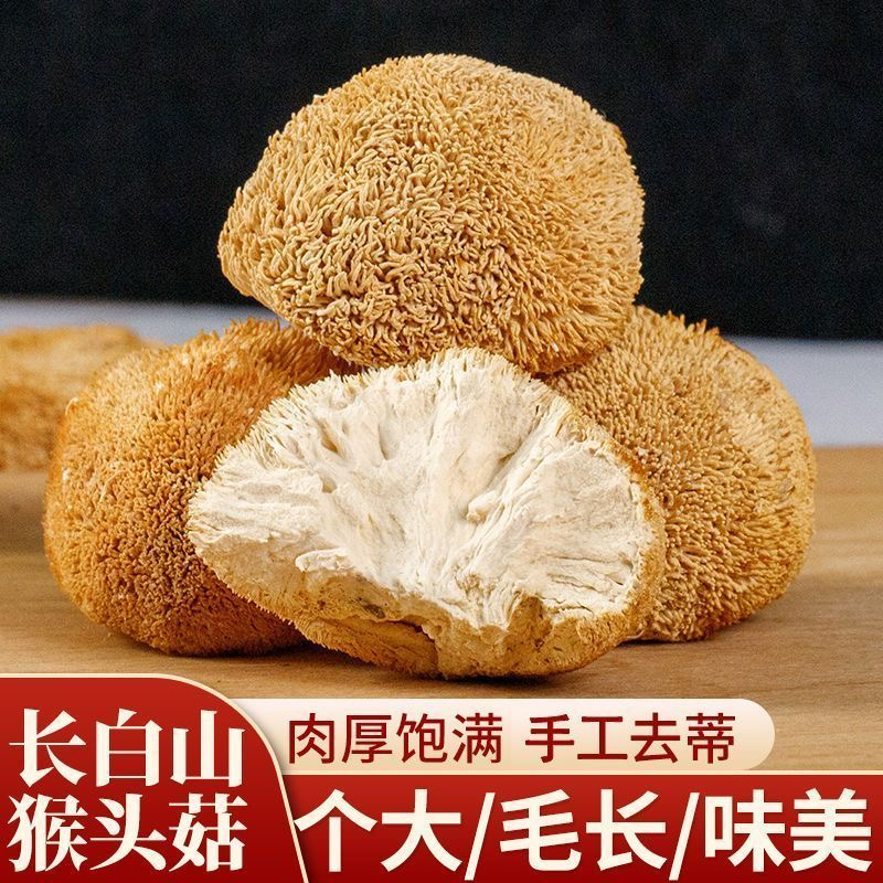 【当季新货】猴头菇干货农家猴头菇菌菇煲汤大货批发