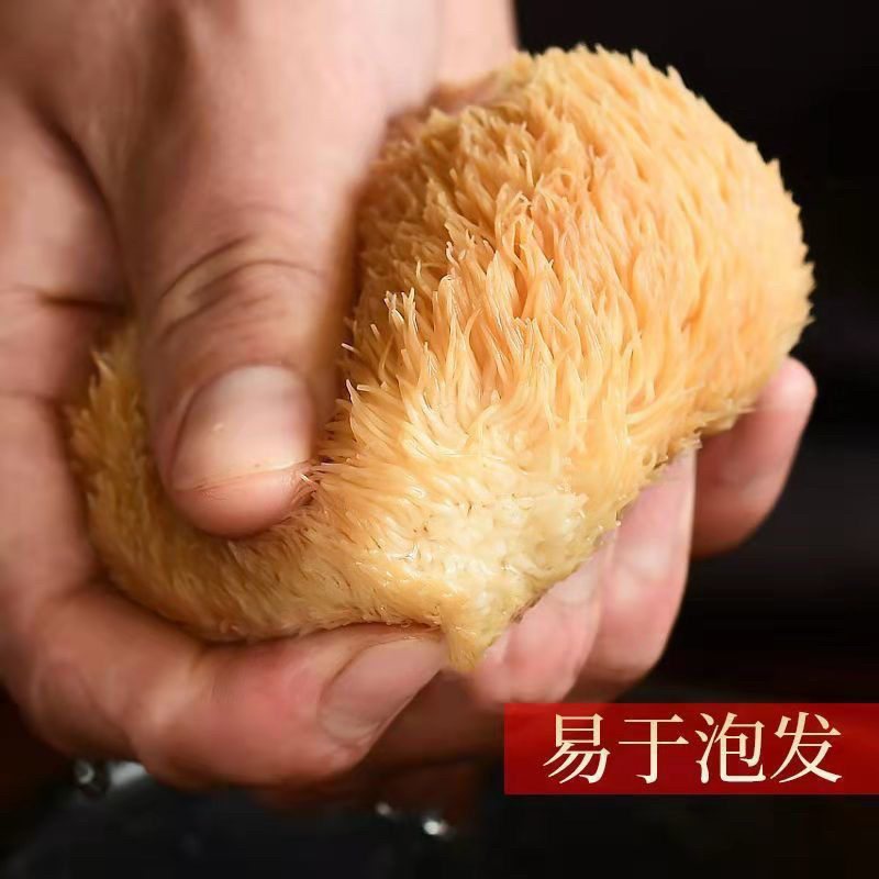 【当季新货】猴头菇干货农家猴头菇菌菇煲汤大货批发