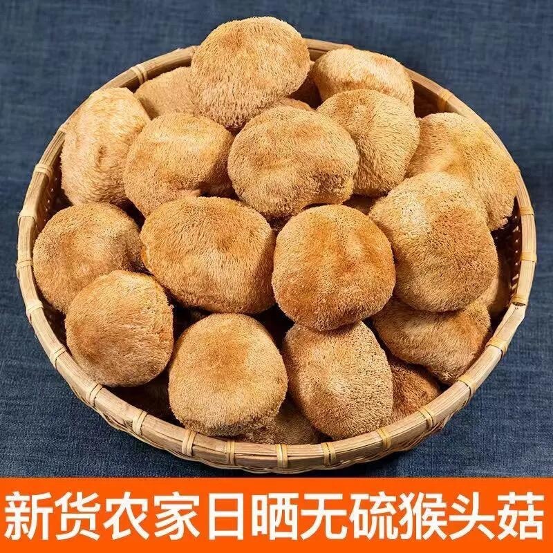 【当季新货】猴头菇干货农家猴头菇菌菇煲汤大货批发