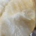 【一件代发】烟台冰激凌蜜香丑梨一件代发福手梨香甜软糯包邮
