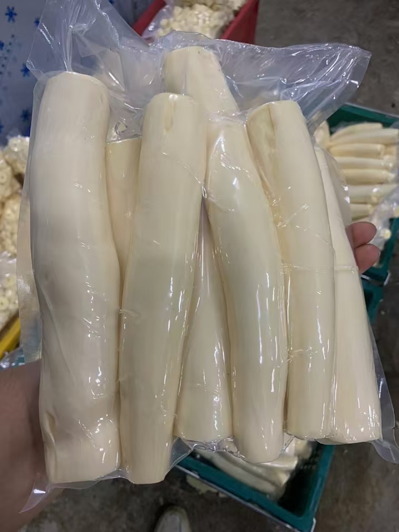 黄心木薯