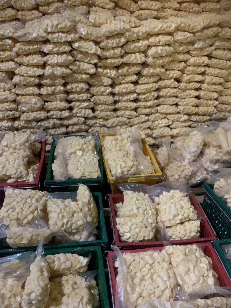 黄心木薯