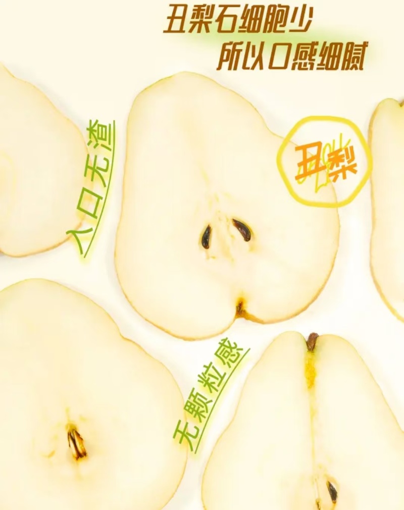 【一件代发】烟台冰激凌蜜香丑梨一件代发福手梨香甜软糯包邮