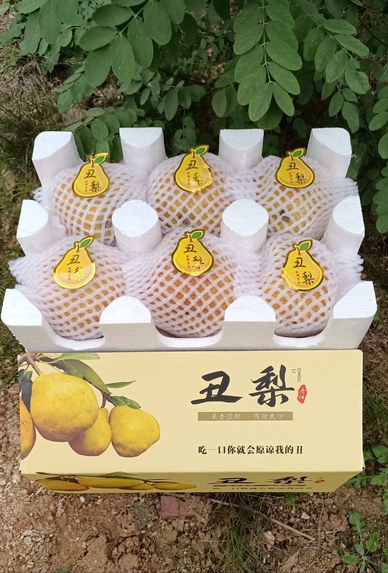 【一件代发】烟台冰激凌蜜香丑梨一件代发福手梨香甜软糯包邮