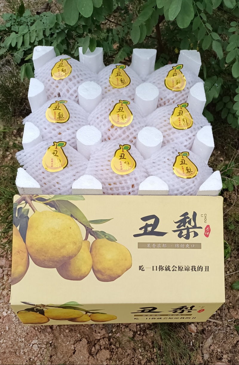【一件代发】烟台冰激凌蜜香丑梨一件代发福手梨香甜软糯包邮