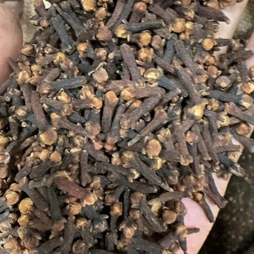 进口马达加斯加丁香
