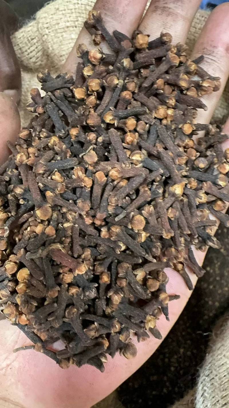 进口马达加斯加丁香