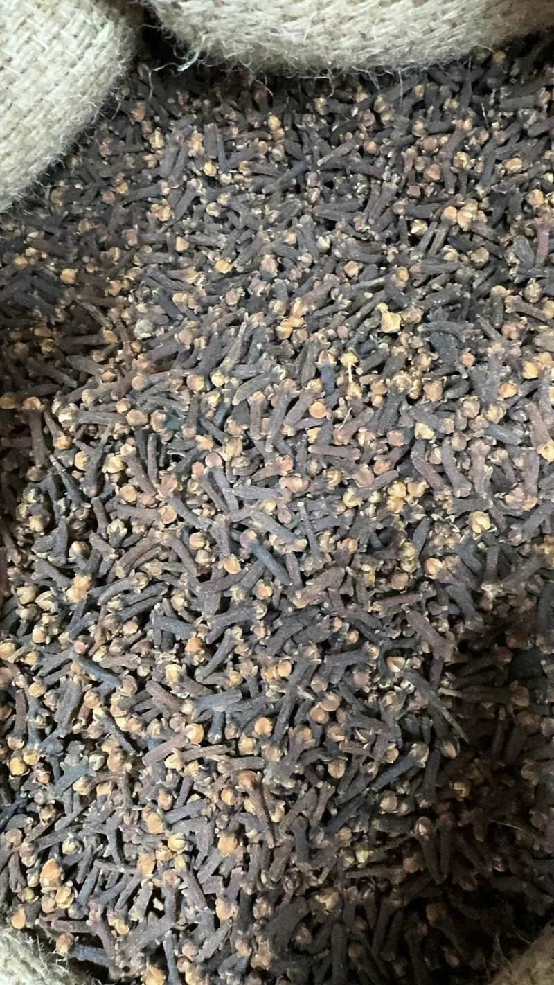 进口马达加斯加丁香