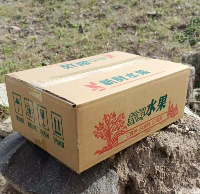 【一件代发】烟台冰激凌蜜香丑梨一件代发福手梨香甜软糯包邮