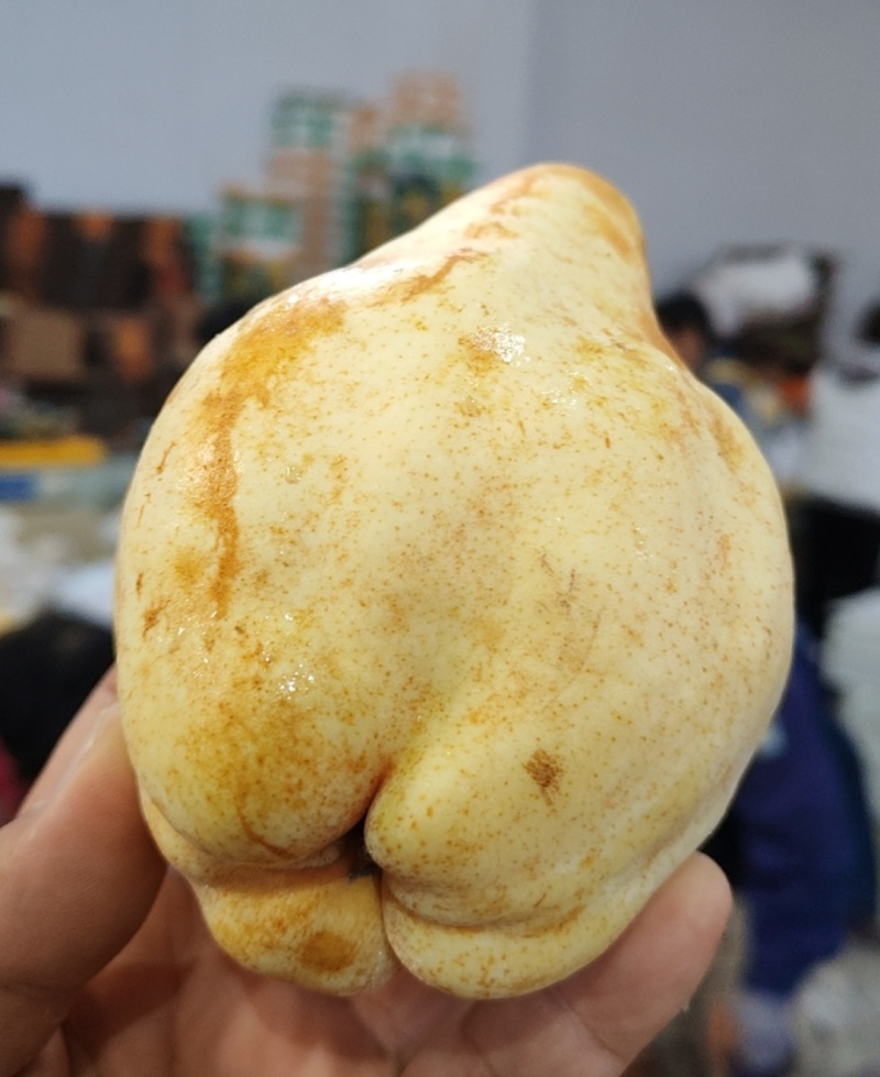 【批量代发】冰激凌蜜香丑梨一件代发非普通中华丑梨源头直发