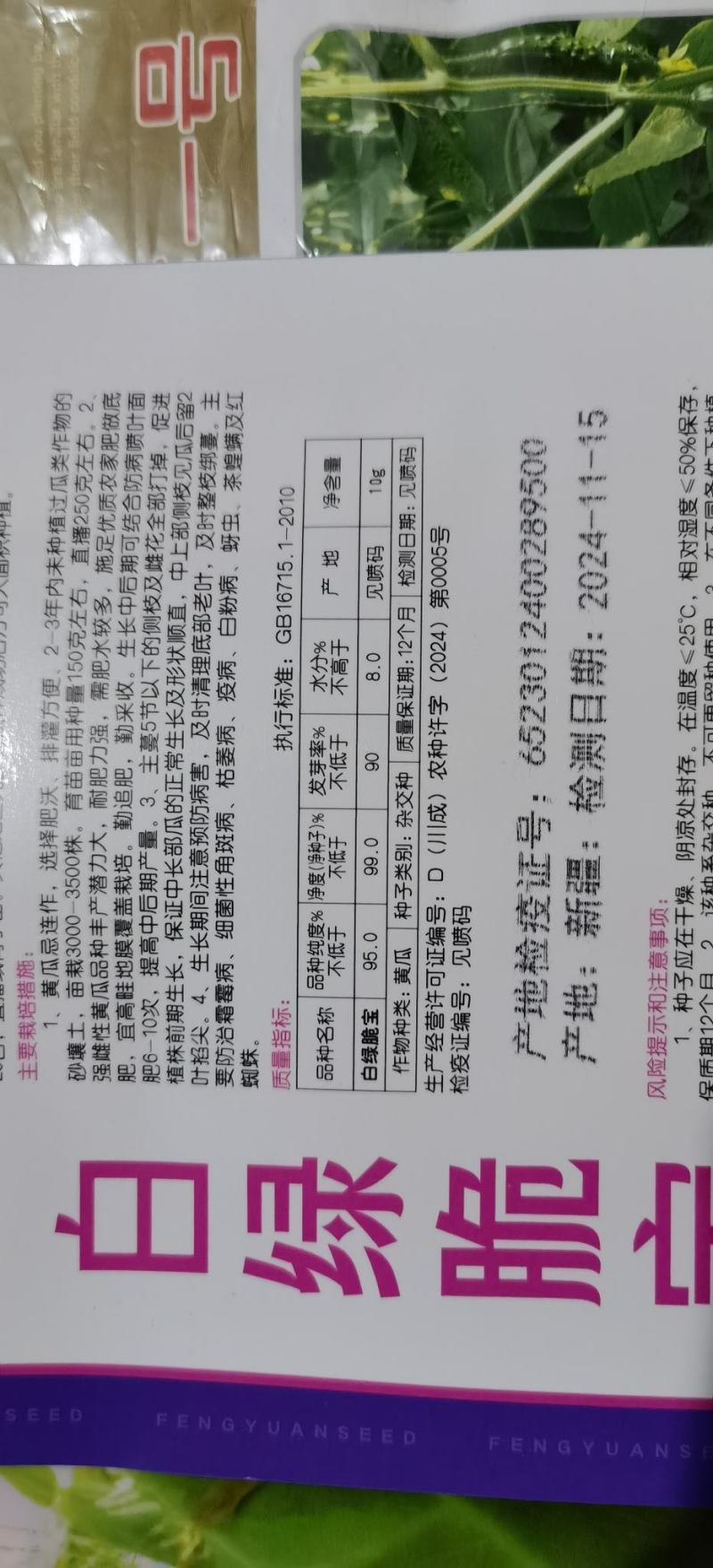 黄瓜种子白绿脆宝强雌极早熟绿白条顺直匀称连续釆摘