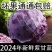 新鲜紫甘蓝紫色包菜卷心菜沙拉即食蔬菜整箱包邮紫甘蓝蔬菜