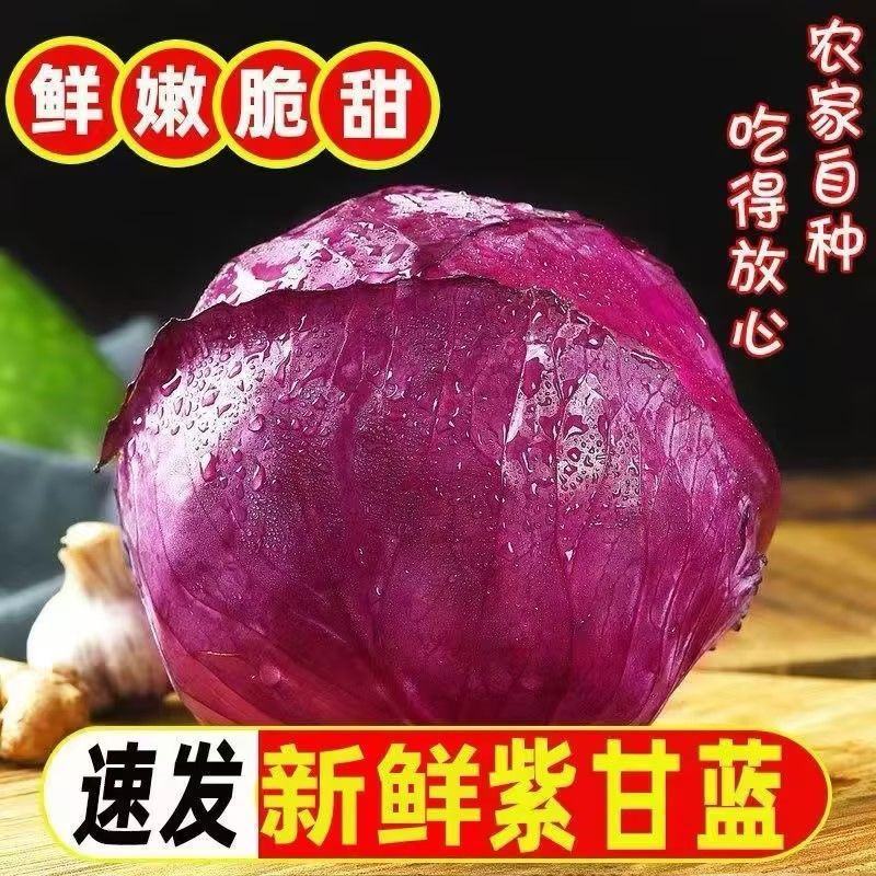 新鲜紫甘蓝紫色包菜卷心菜沙拉即食蔬菜整箱包邮紫甘蓝蔬菜