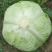 四川莲花白当季农家新鲜包心菜卷心菜家常炒包菜时令薄皮白心