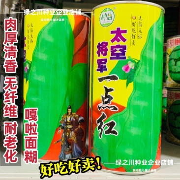 东北油豆角种子将军一点红油豆种子清香肉厚无纤维架豆种子
