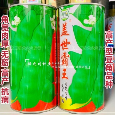 东北油豆角种子盖世霸王油豆种子抗病高产无筋豆角种籽角宽