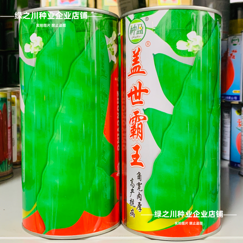 东北油豆角种子盖世霸王油豆种子抗病高产无筋豆角种籽角宽