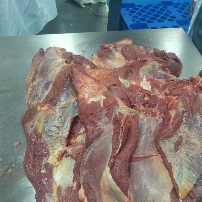 马肉