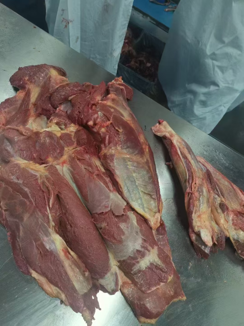 马肉