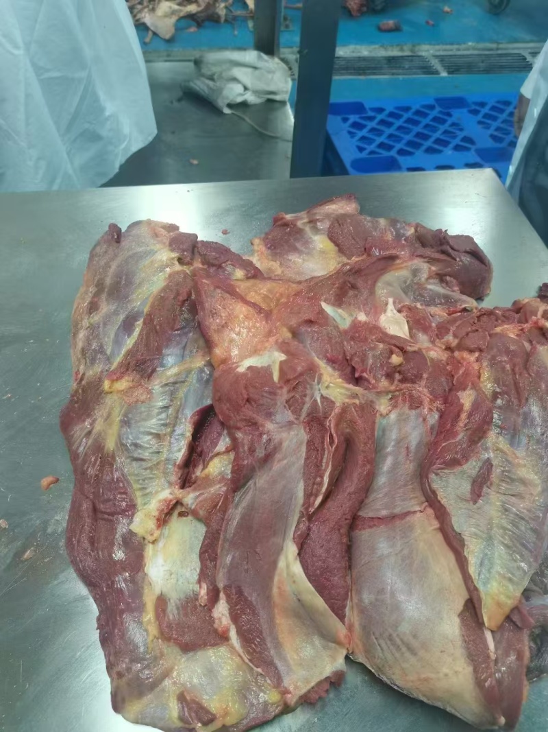 马肉