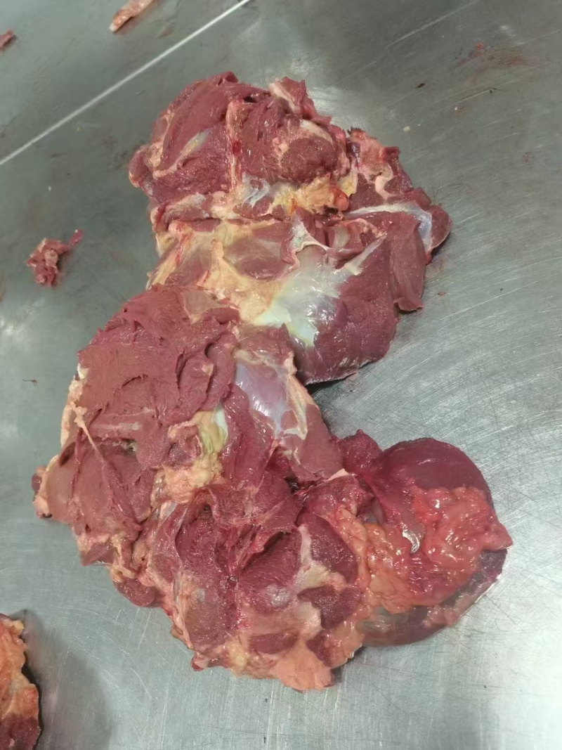 马肉