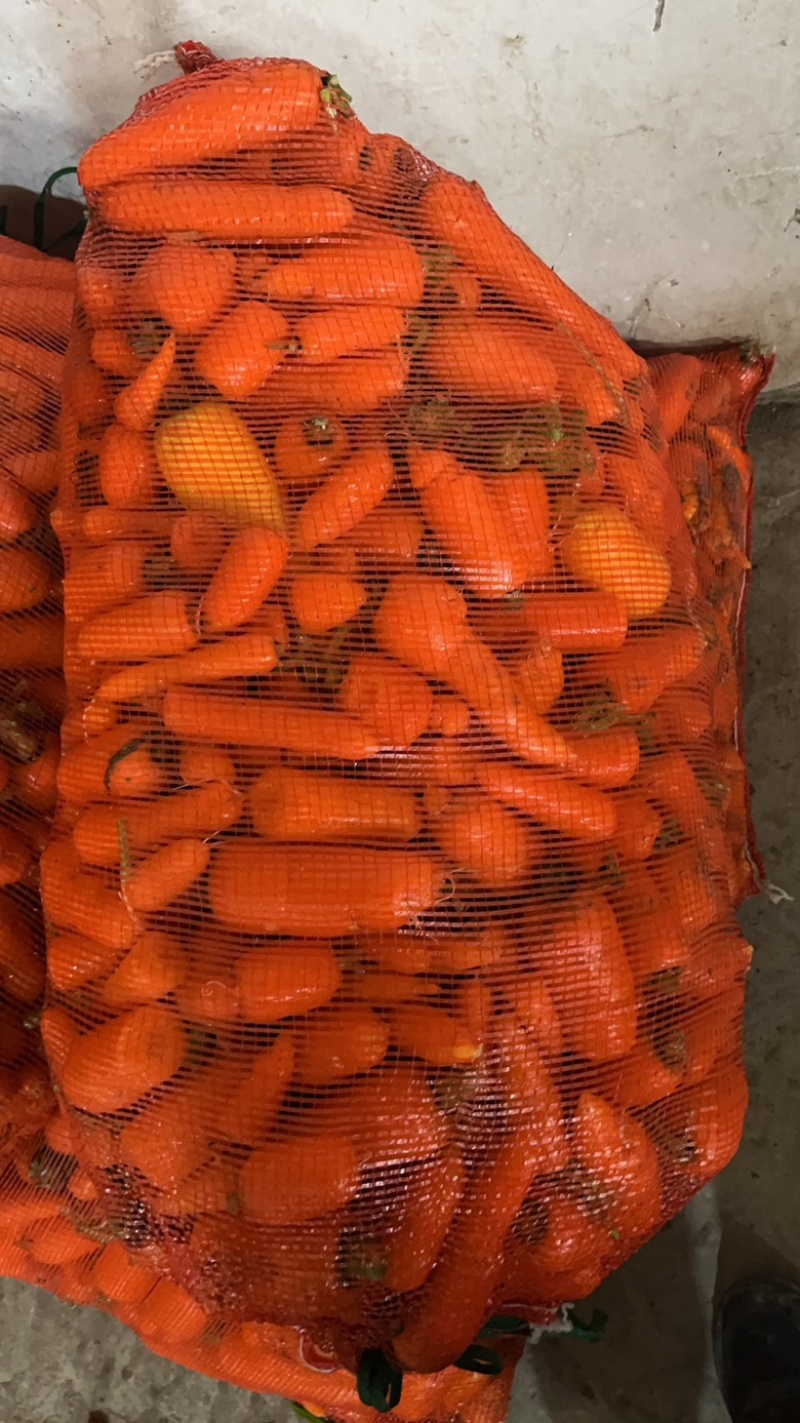 水洗胡萝卜，量大从优，电商食堂，商超，市场供货规格齐全