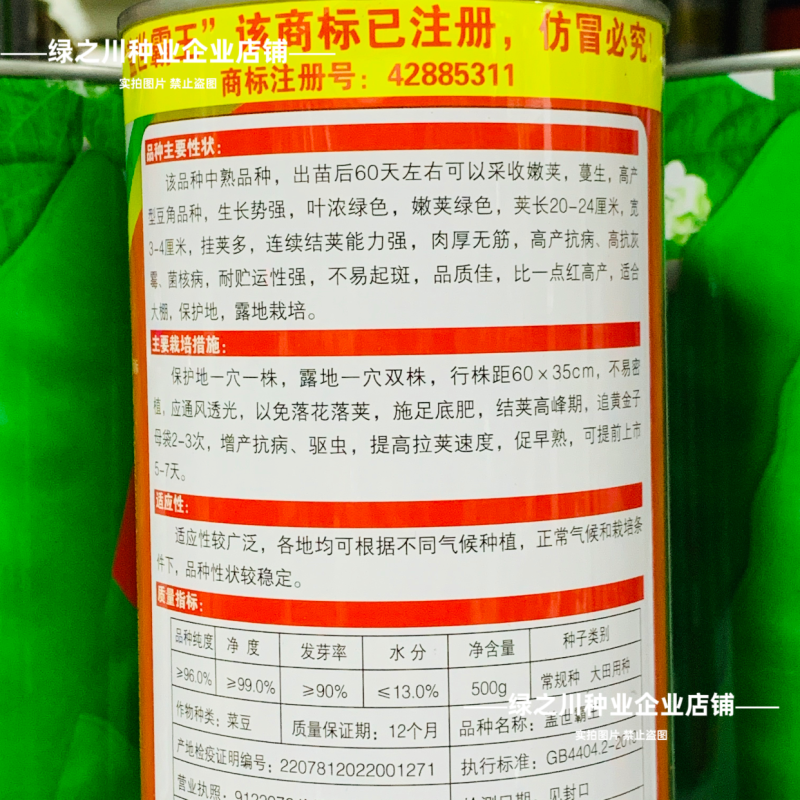 种盈盖世霸王豆角种子东北高产油豆角种籽大几豆籽鼓豆一点红