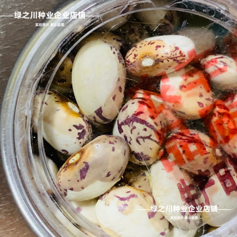 种盈盖世霸王豆角种子东北高产油豆角种籽大几豆籽鼓豆一点红