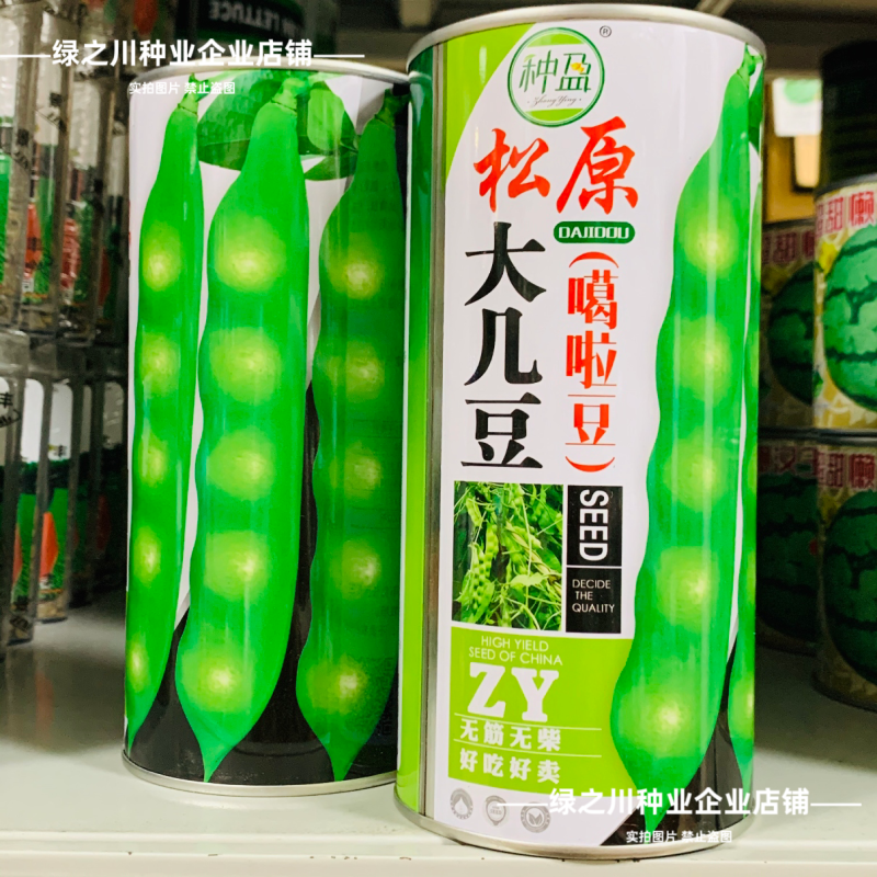 种盈盖世霸王豆角种子东北高产油豆角种籽大几豆籽鼓豆一点红