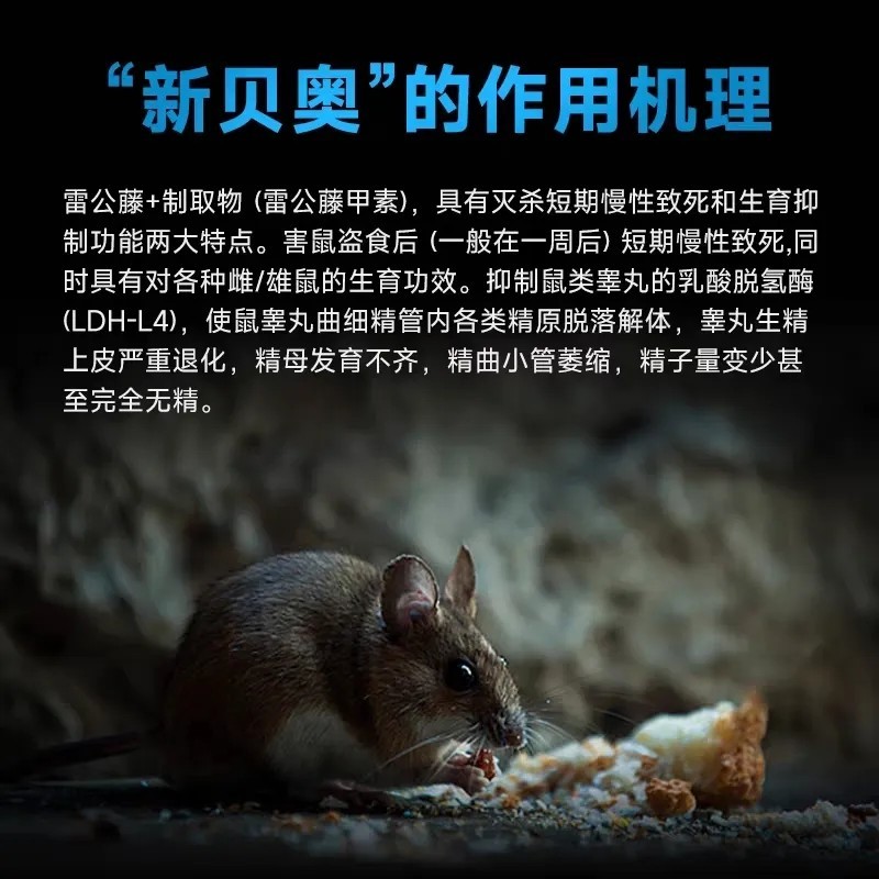老鼠药雷公甲藤素耗子药灭鼠剂家用饵粒灭老鼠杀鼠剂室内正品