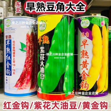 种盈早熟紫花大油豆种子东北高产豆角种籽红金钩黄金钩豆角种