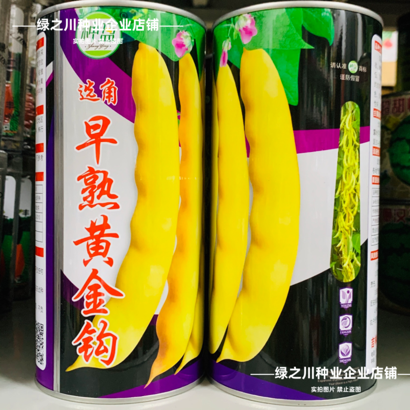 种盈早熟紫花大油豆种子东北高产豆角种籽红金钩黄金钩豆角种