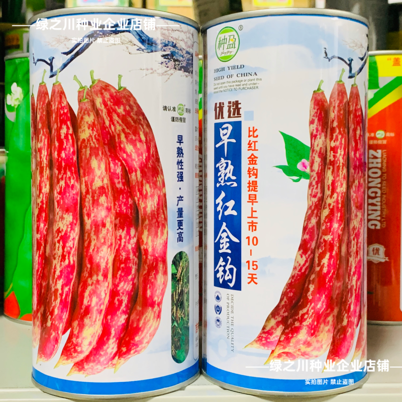 种盈早熟紫花大油豆种子东北高产豆角种籽红金钩黄金钩豆角种