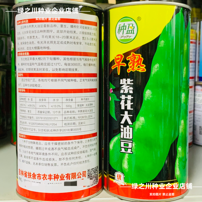 种盈早熟紫花大油豆种子东北高产豆角种籽红金钩黄金钩豆角种