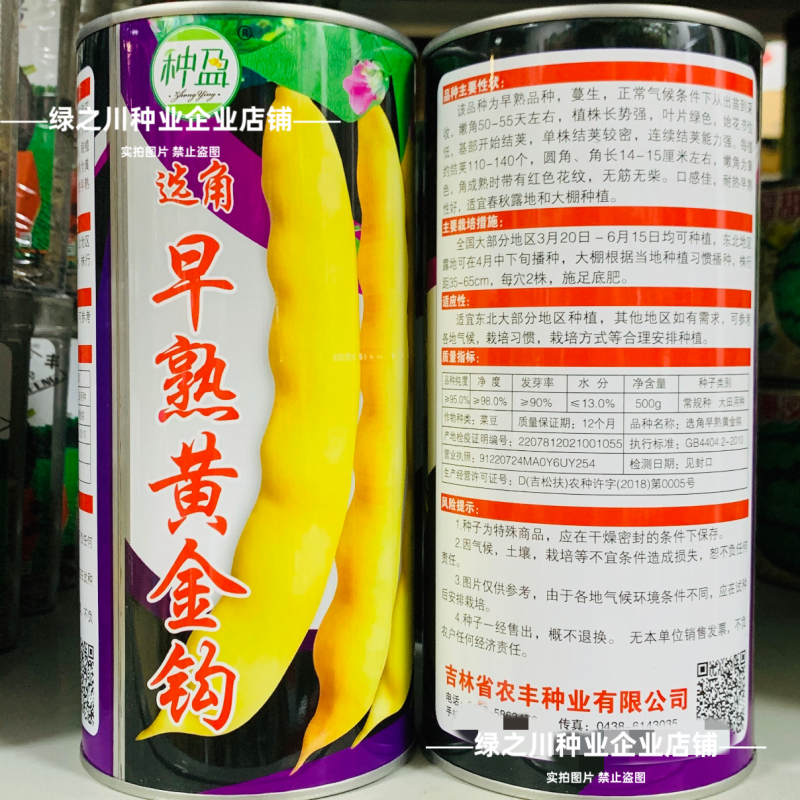 种盈早熟紫花大油豆种子东北高产豆角种籽红金钩黄金钩豆角种