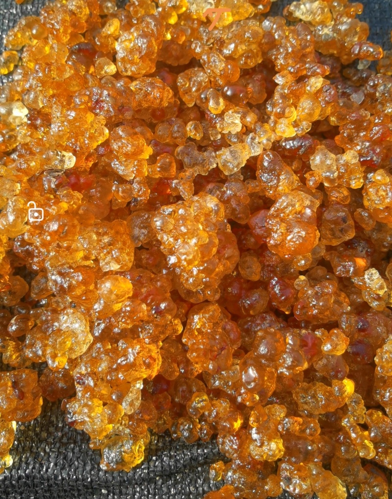 桃胶原产地专注桃胶.爆米花.圆珠.精修桃胶.带贴牌OEM