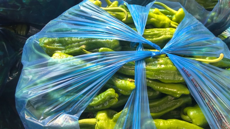安徽芜湖精品泡椒，苏胶，芜湖椒，销往全国各地，