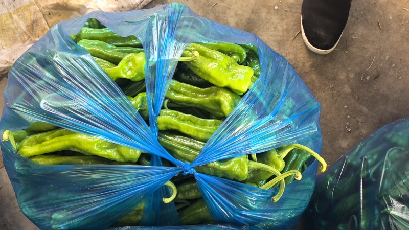 安徽芜湖精品泡椒，苏胶，芜湖椒，销往全国各地，
