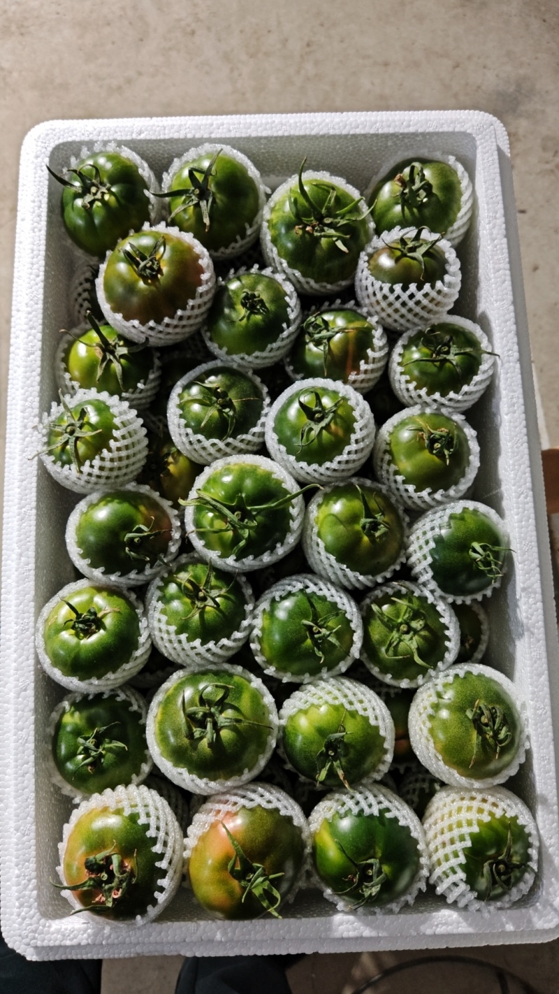 草莓柿子