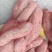 烟薯25.紫薯，商薯19.