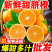 四川脐橙，口感纯甜，多汁，细皮肉厚，现摘现发，