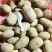 微七土豆大量上市了