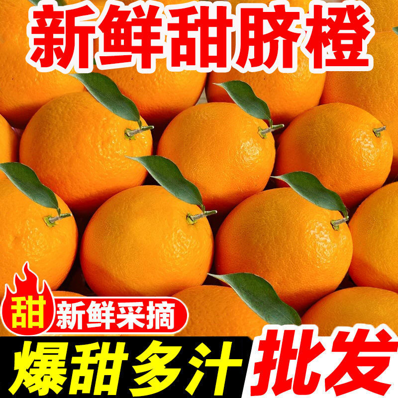 金堂脐橙爱媛果冻橙，现摘现发，产地脐橙