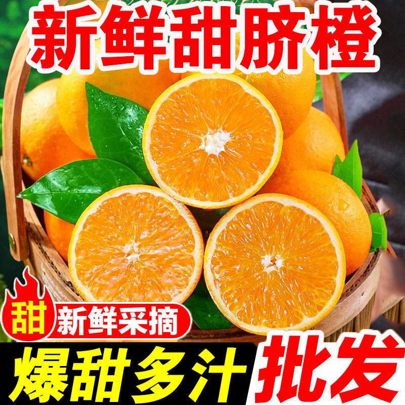 金堂脐橙爱媛果冻橙，现摘现发，产地脐橙