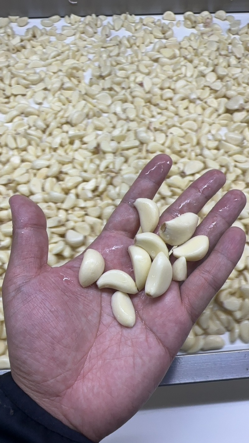 火锅连锁某捞专用蒜米