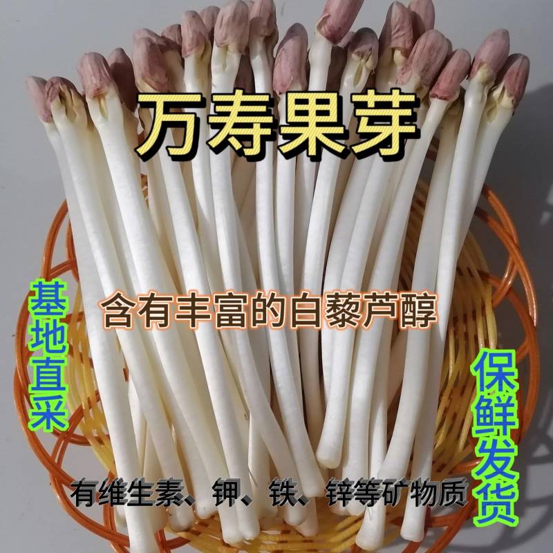 万寿果芽
